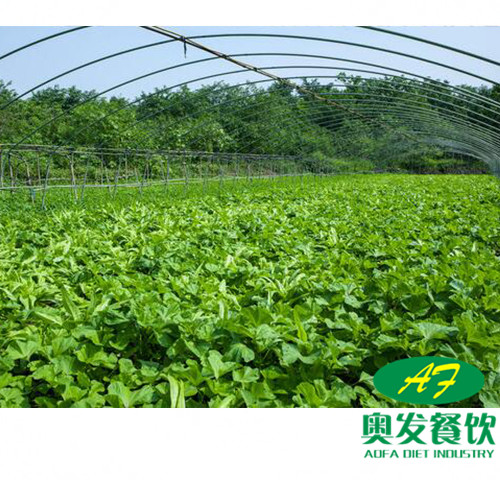 武漢蔬菜配送的運作流程是怎樣的？